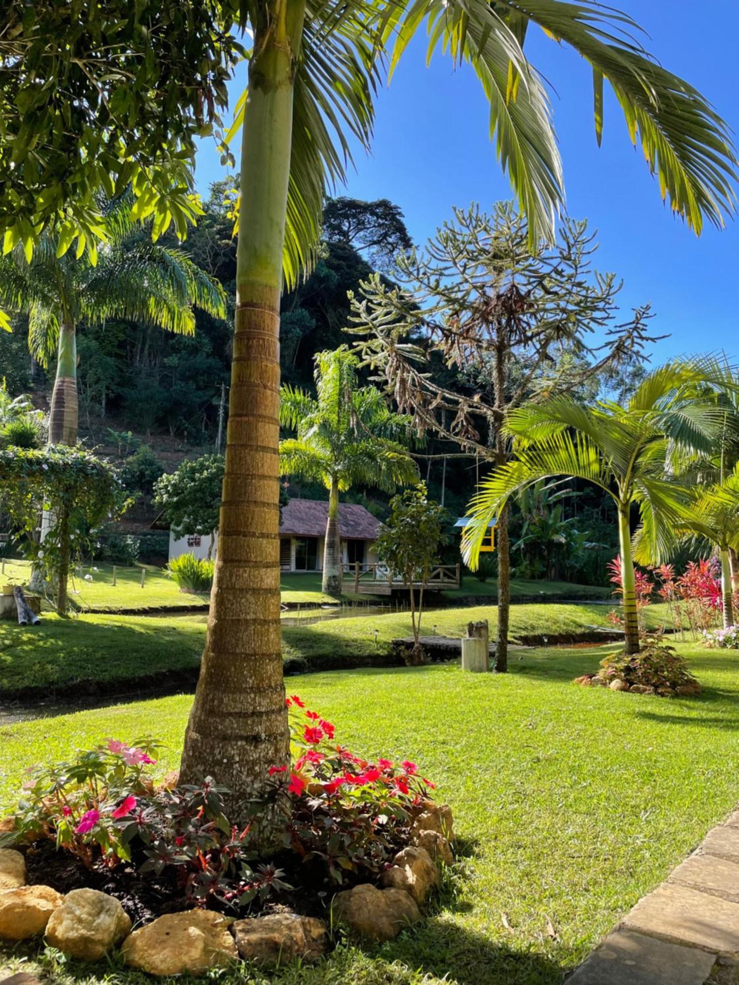 Bed and Breakfast Sitio Terra Sana Santa Teresa  Esterno foto